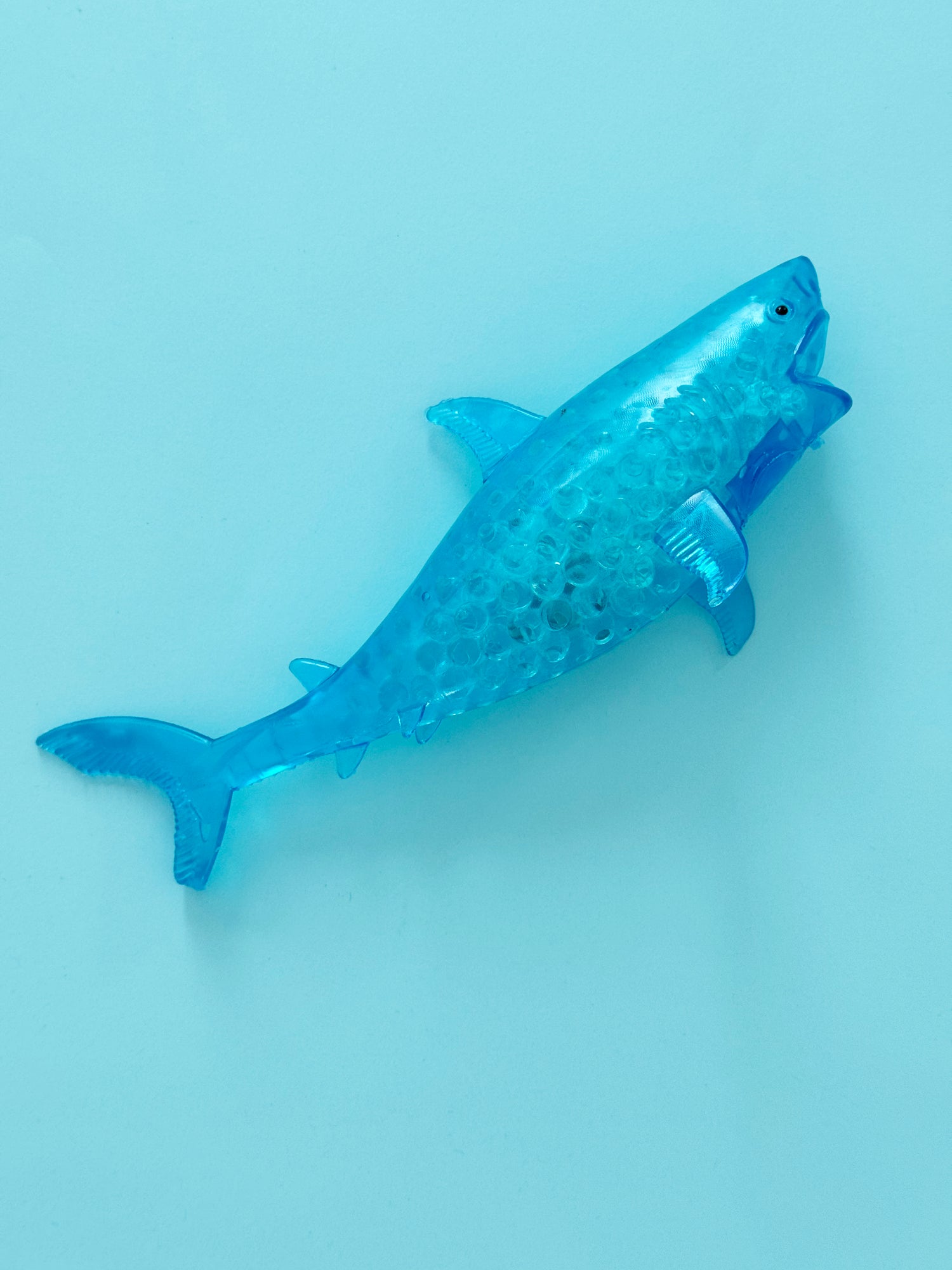 Gavebox Shark